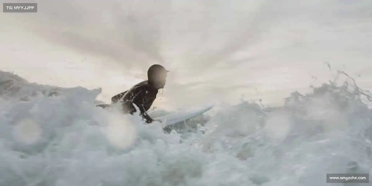 为什么选择我们